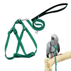 ASOCEA adjustable bird harness close-up shows secure outdoor fit for birds.