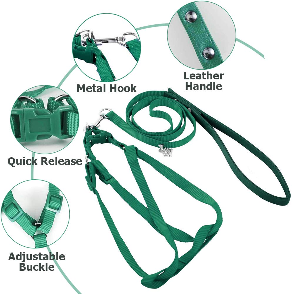 ASOCEA bird harness outdoor time with bird enables safe outdoor outings.