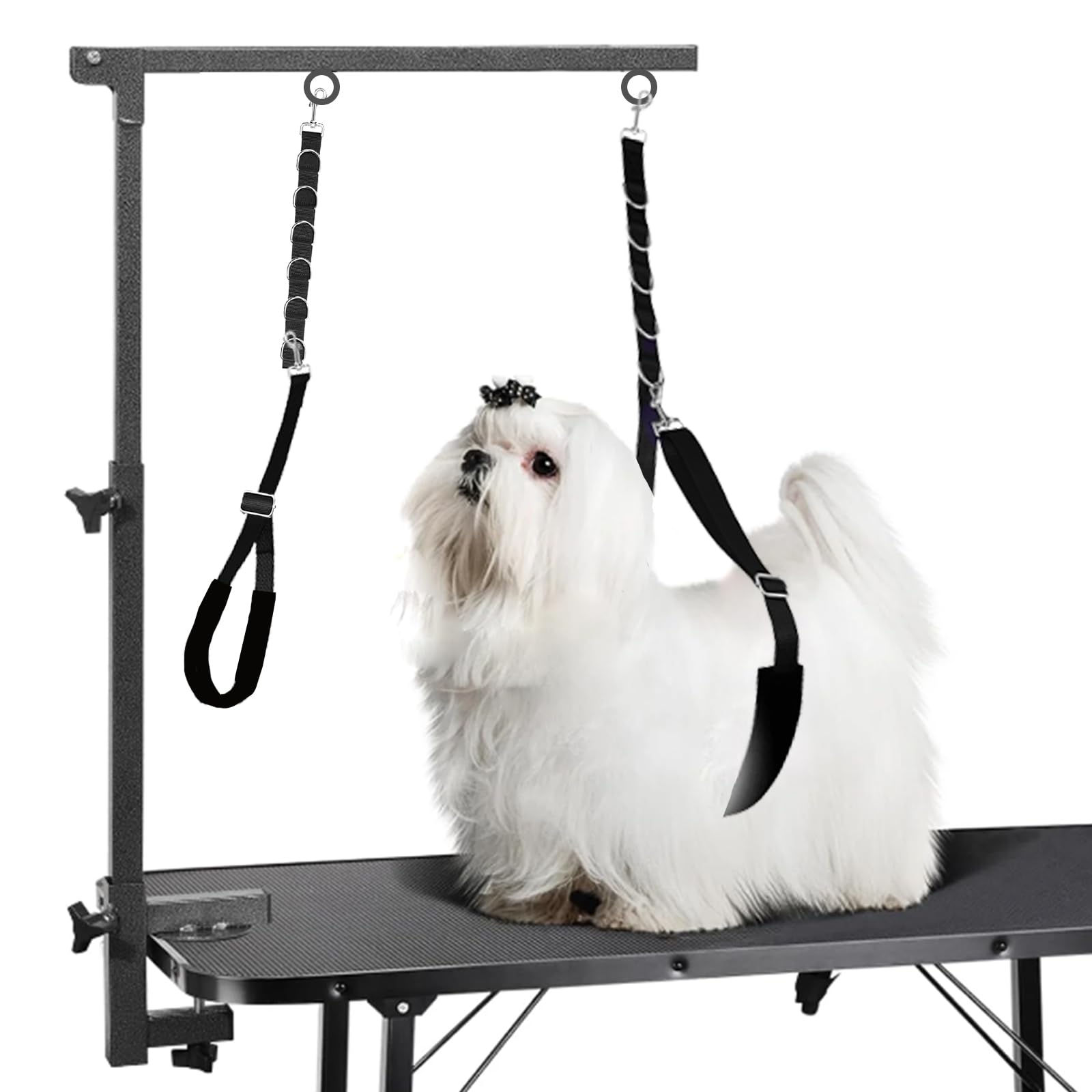 ASOCEA dog grooming soft-padded-sleeve keeps the belly area comfortable during handling.