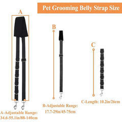ASOCEA dog grooming table-arm-extends offers secure positioning for precise grooming.