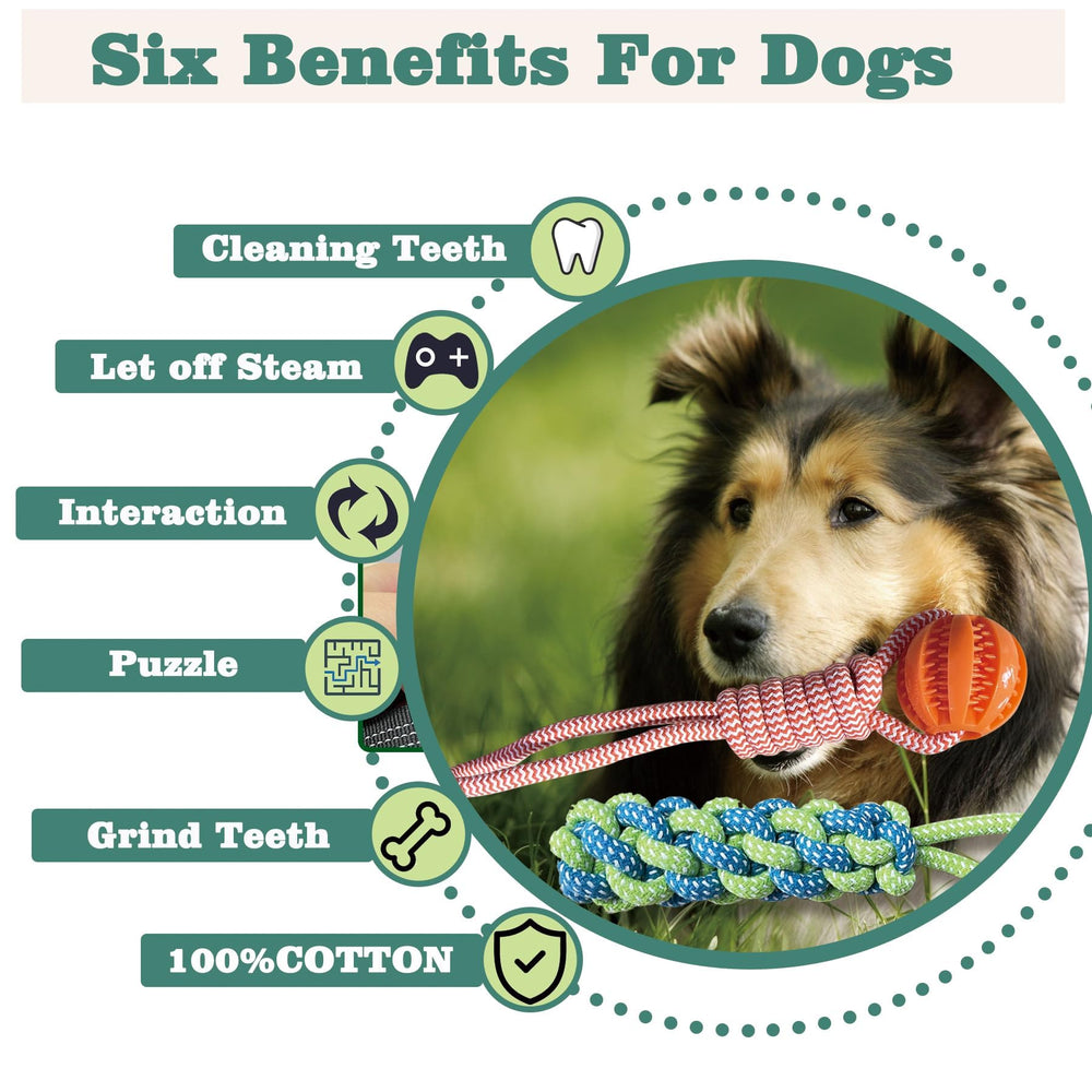 ASDICOXB dog toy tug kit blue suitable for indoor and outdoor play.