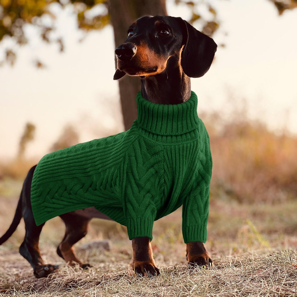 ASENKU 4XL fit on a large-breed dog like Doberman