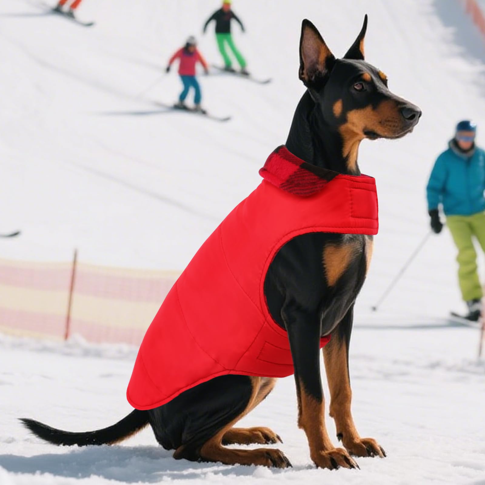 ASENKU adjustable magic closures secure fit around neck and belly.