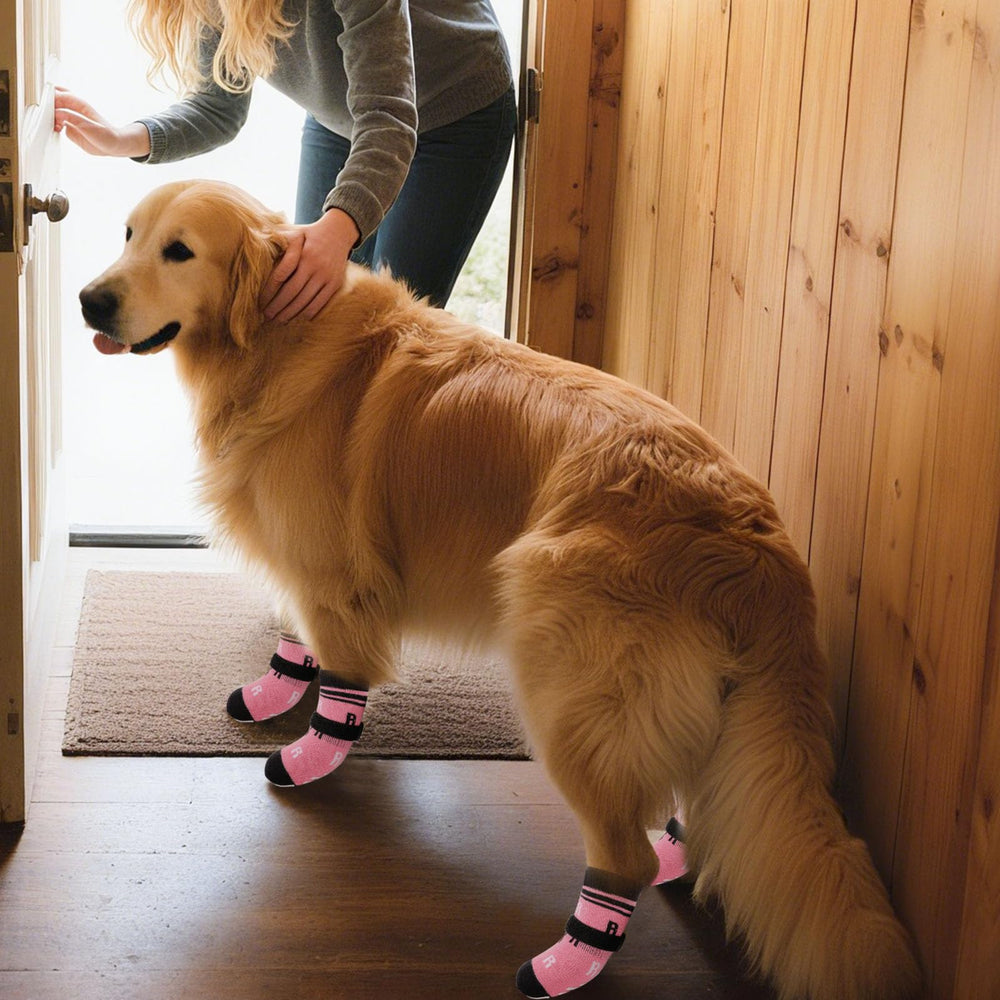 ASENKU anti-slip dog socks pink XL, on an elderly dog for safer indoor walking.