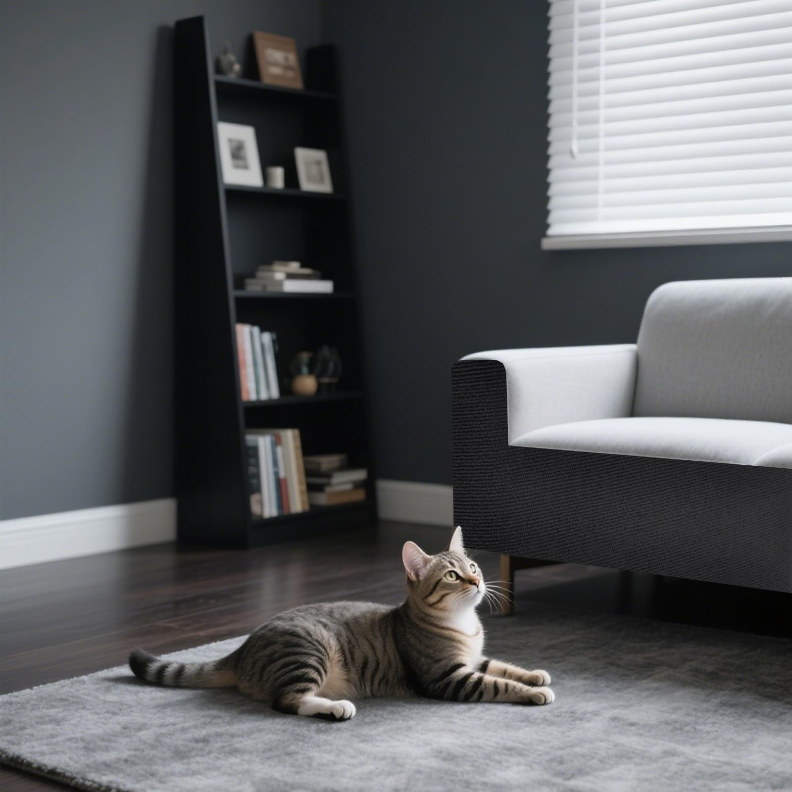 ASENKU dark-gray textured surface cushions claws while guarding furniture from wear.