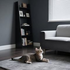 ASENKU dark-gray textured surface cushions claws while guarding furniture from wear.