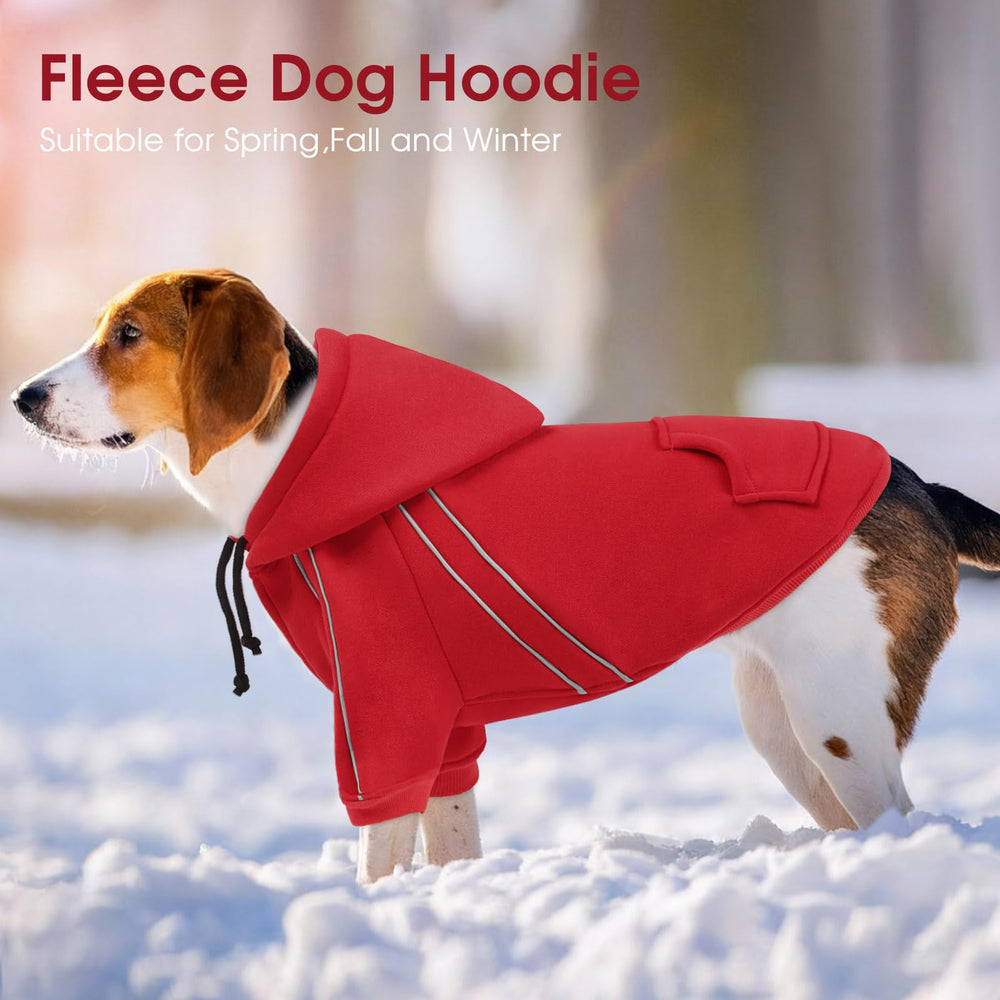 ASENKU Cozy Dog Hoodie outdoor-walk shows dog wearing hoodie during cold weather.