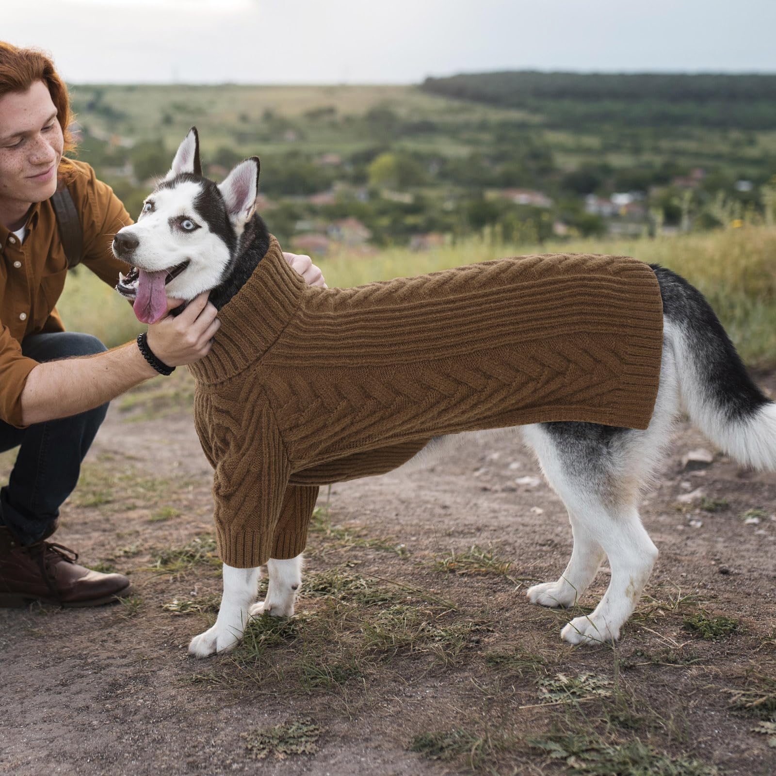 ASENKU large-dog sweater on a doberman demonstrates fit for big breeds.