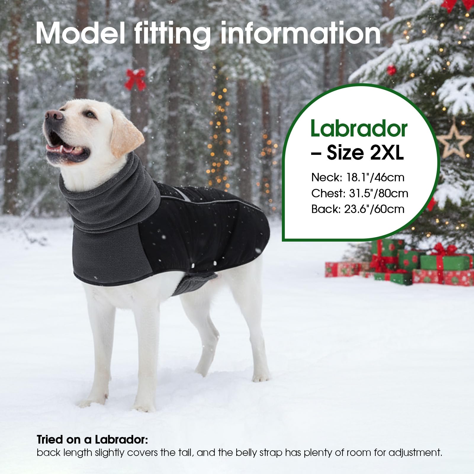 ASENKU dog coat adjustable chest fasteners provide snug sizing