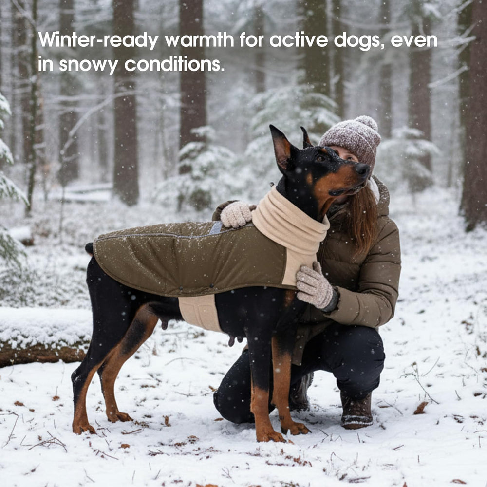 ASENKU dog coat machine washable keeps cleanup quick after adventures.