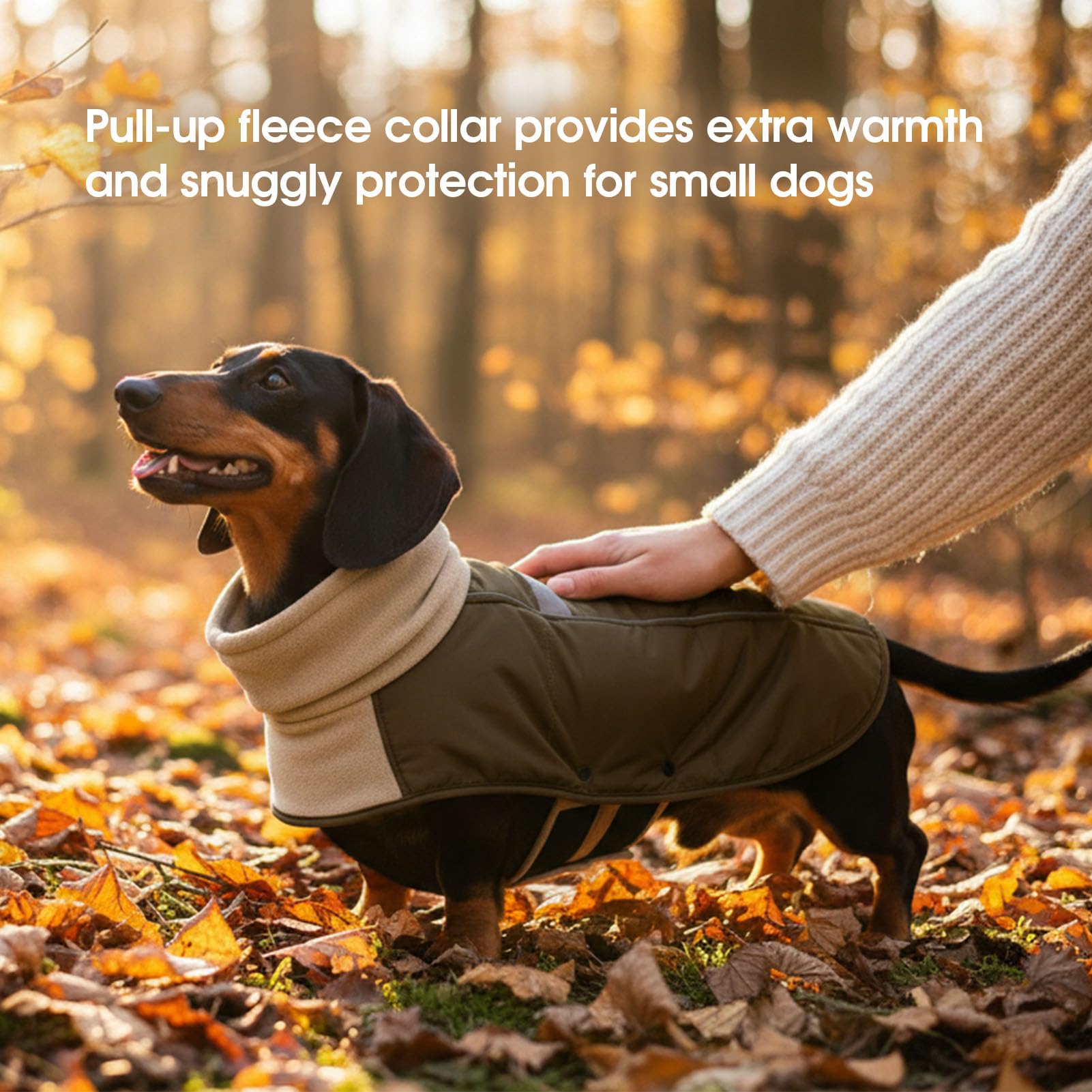 ASENKU dog coat size range M to XXXXL fits many breeds.