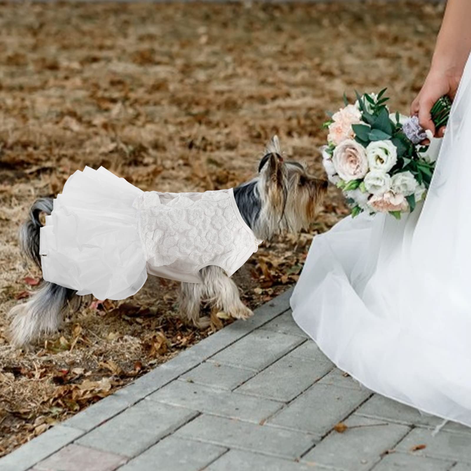 ASENKU dog dress ideal for weddings, parties, photo shoots and shows