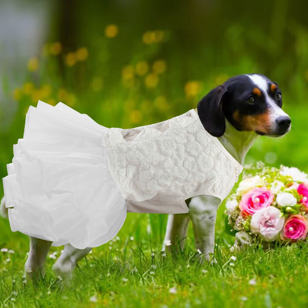 ASENKU dog dress XXL size for large dogs seeking elegant apparel