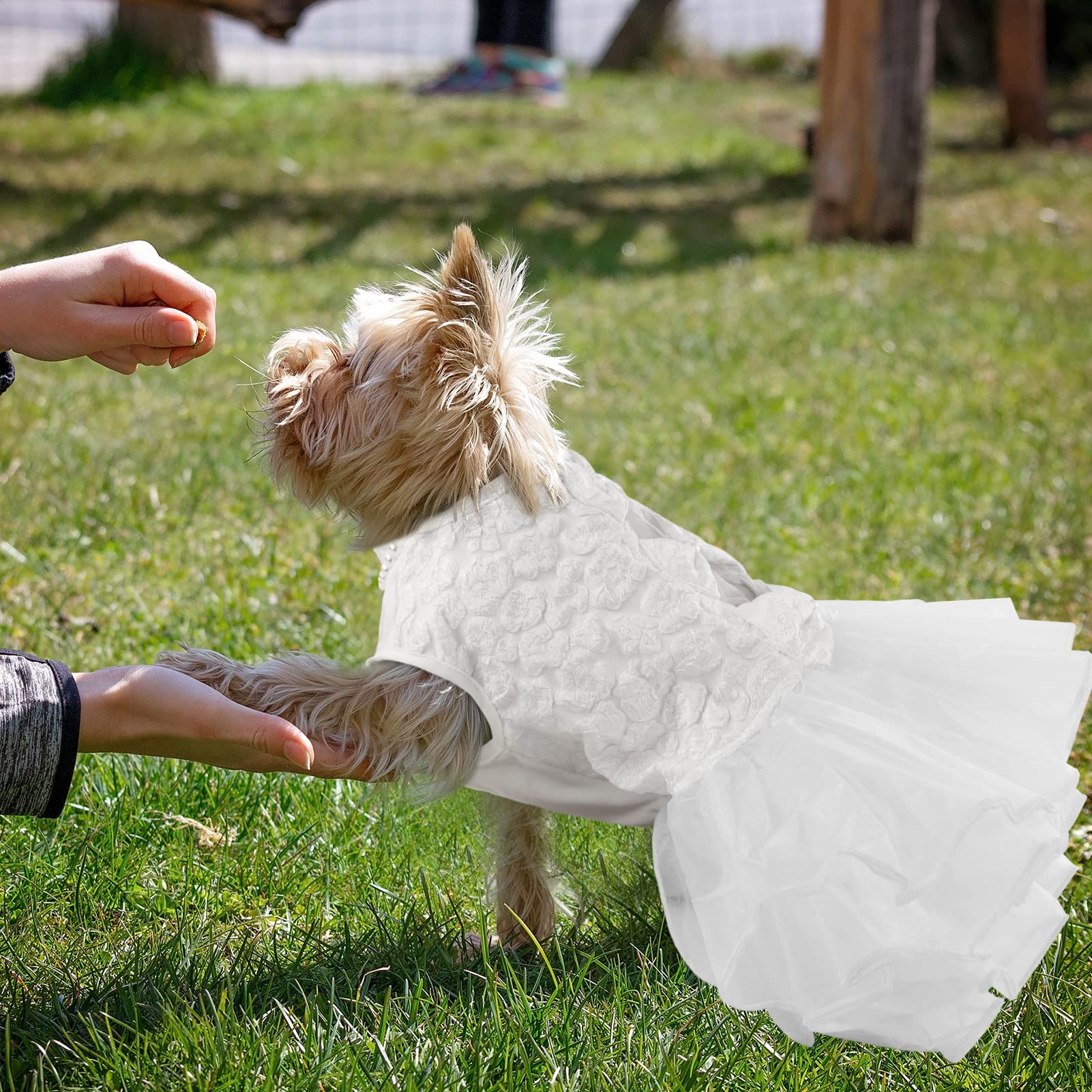 ASENKU dog dress upper body with three-dimensional drawings and chic style