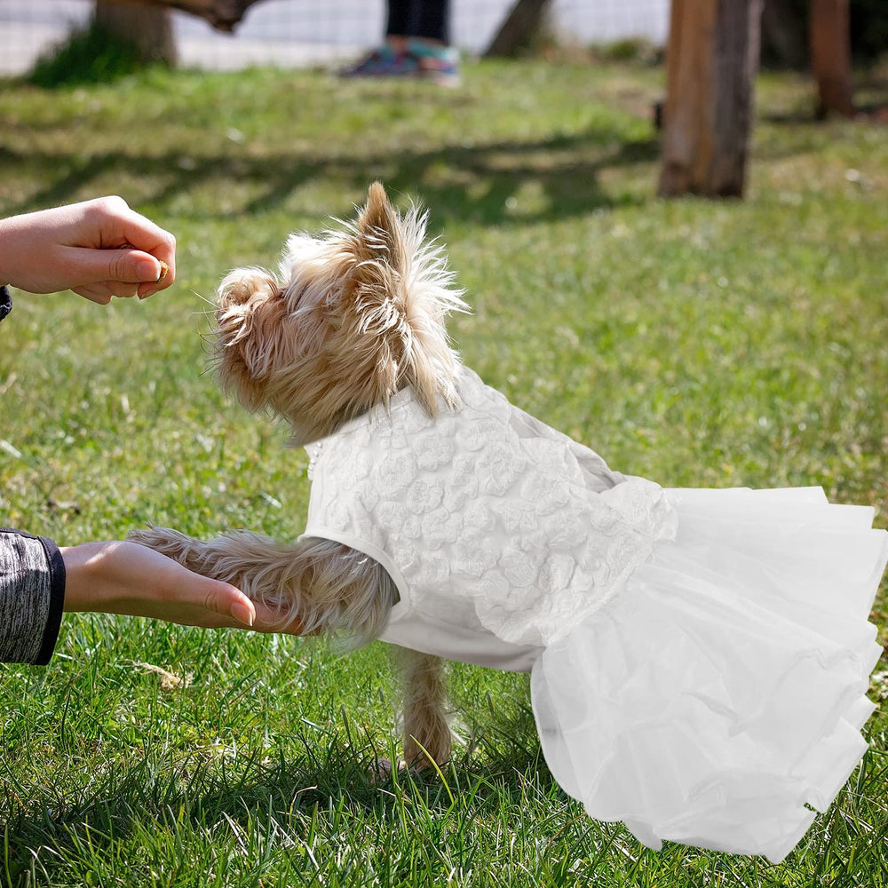ASENKU dog dress upper body with three-dimensional drawings and chic style