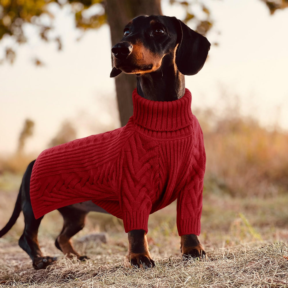 ASENKU dog sweater turtleneck detail emphasizes full coverage warmth.