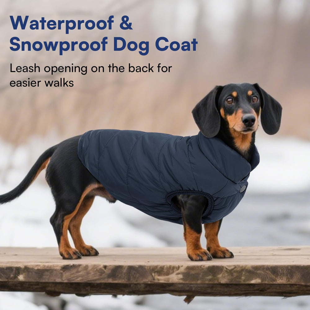 ASENKU dog winter coat back view shows snow-ready coverage