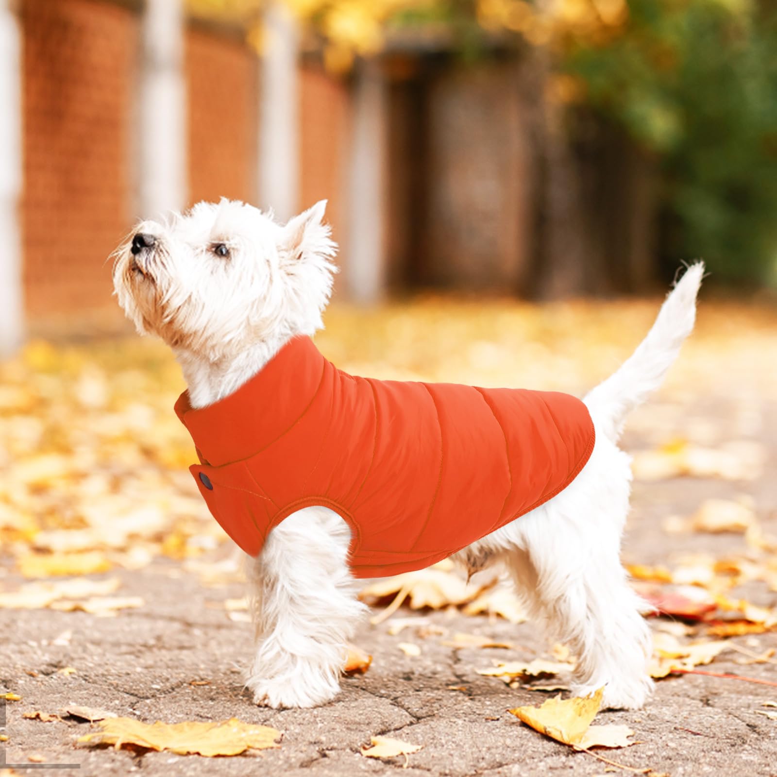 ASENKU dog winter coat elastic edges ensure a snug, comfortable fit.