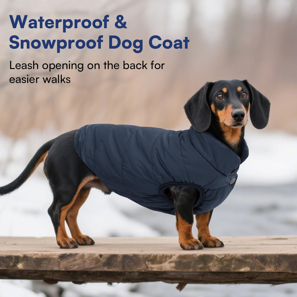 ASENKU dog winter coat elastic-edges help adjust for snug fit.