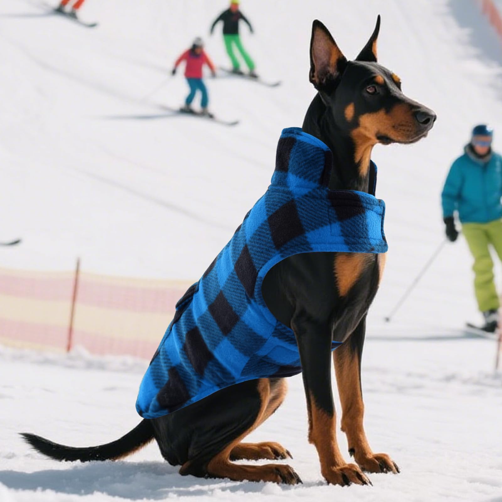 ASENKU dog winter coat in action during a winter walk demonstrates outdoor comfort.