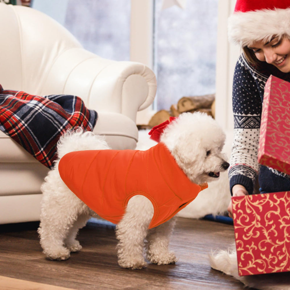 ASENKU dog winter coat indoor and outdoor use keeps pets cozy anywhere.