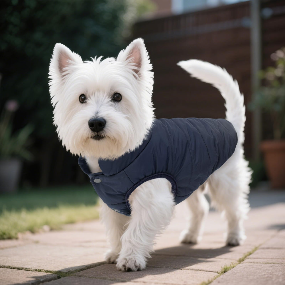 ASENKU dog winter coat inner fleece lining keeps warmth without bulk