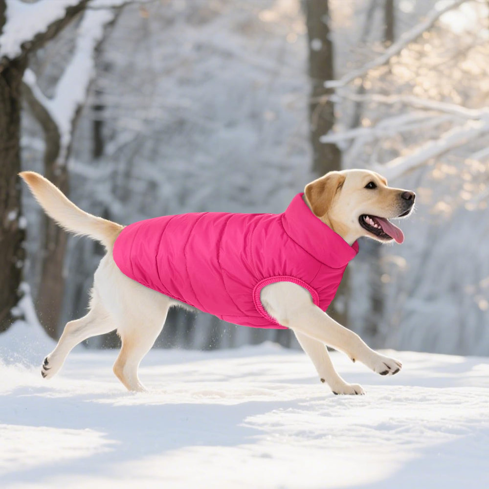 ASENKU size-chart-pink image helps pick the right coat for most dogs.