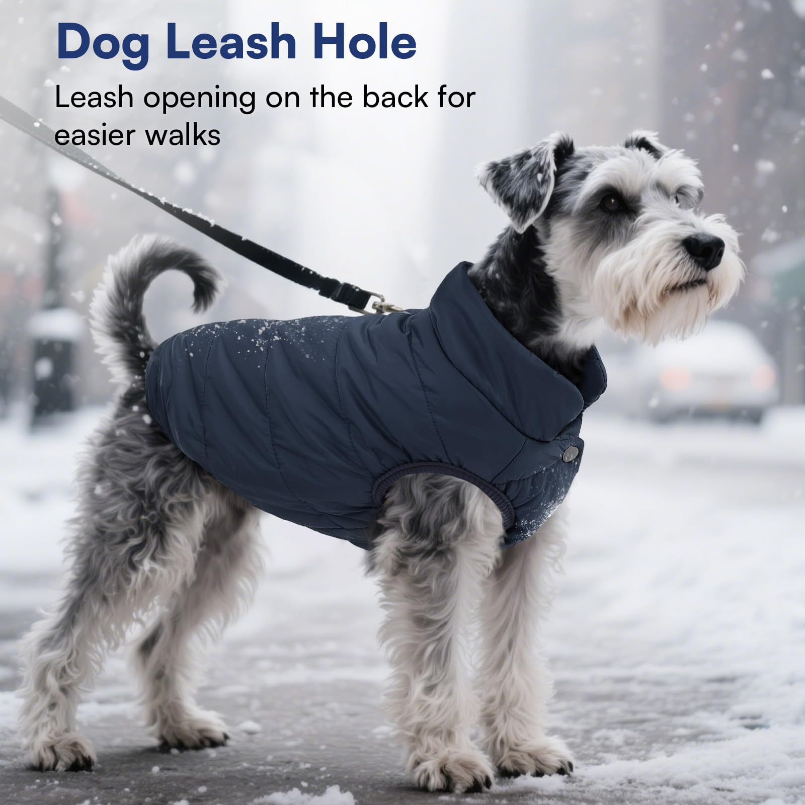 ASENKU dog winter coat size chart helps pick the right fit