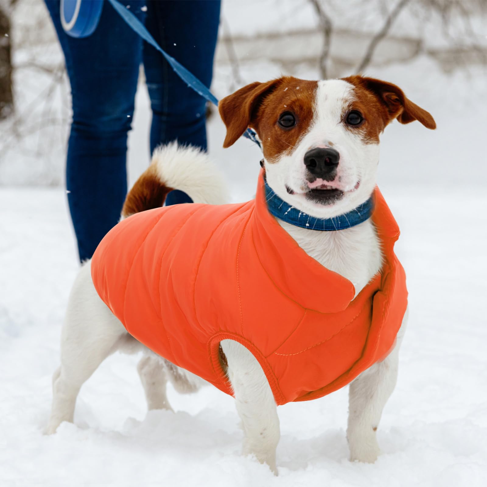 ASENKU dog winter coat size range XS to XXXL fits most breeds for chilly adventures.