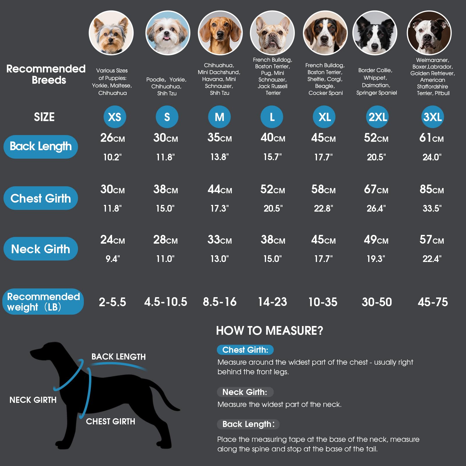 ASENKU dog winter coat stand collar provides warmth during chilly outdoor strolls