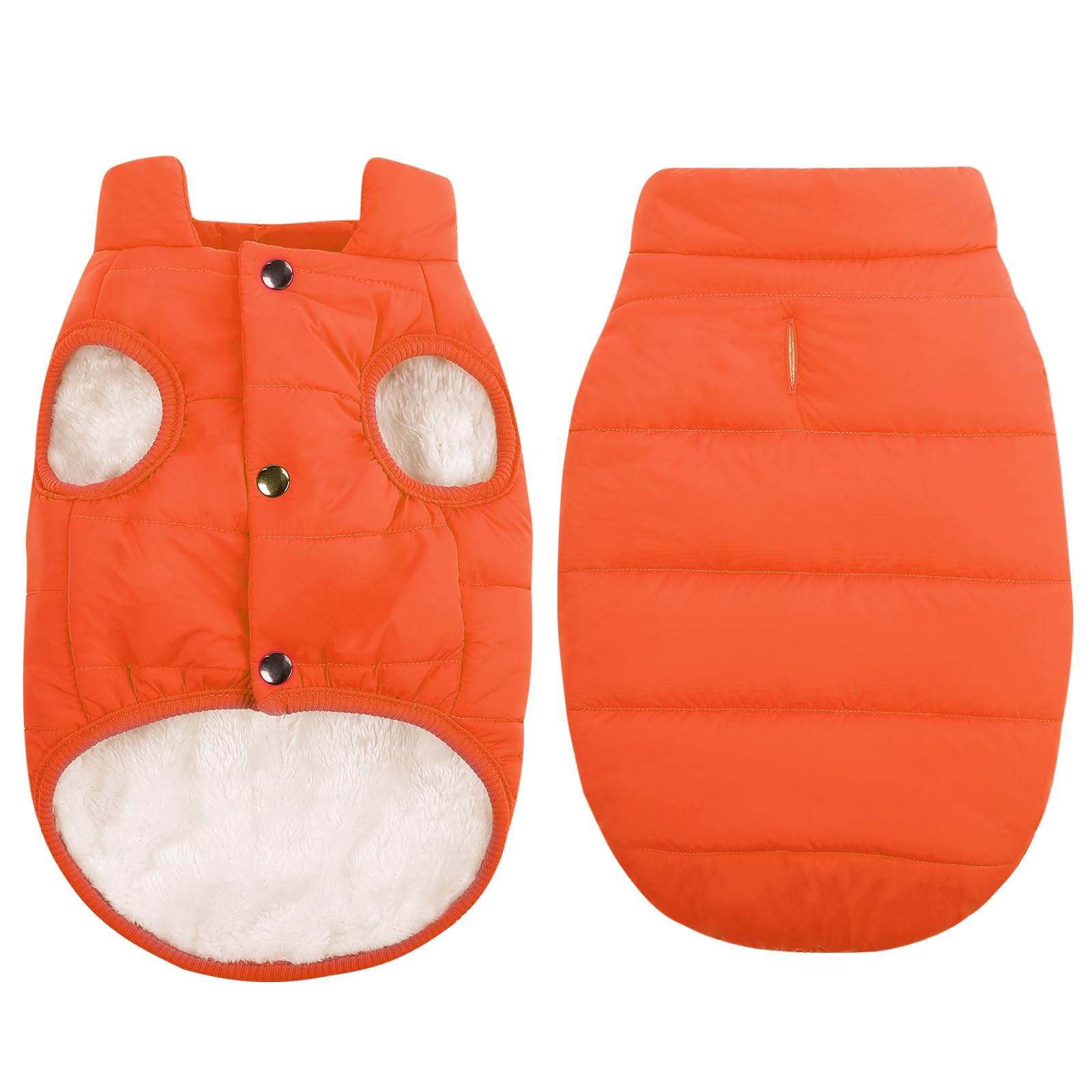 ASENKU dog winter coat waterproof windproof orange on dog offers reliable cold-weather protection.