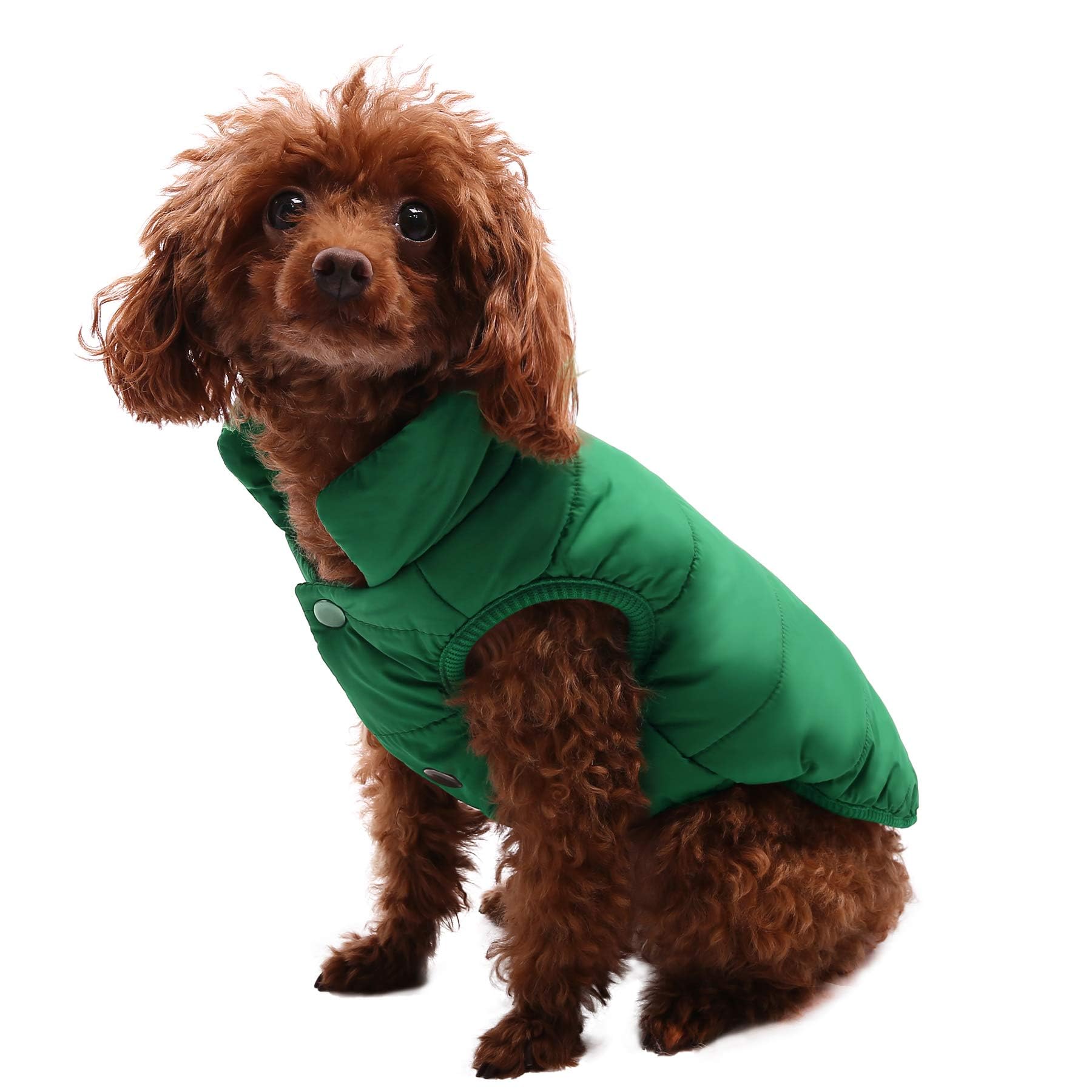ASENKU dog winter coat in green for a stylish winter look.