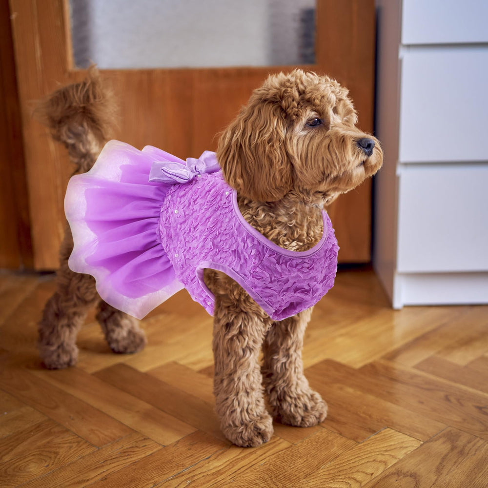 ASENKU 10-layer fluffy skirt adds volume without restricting movement