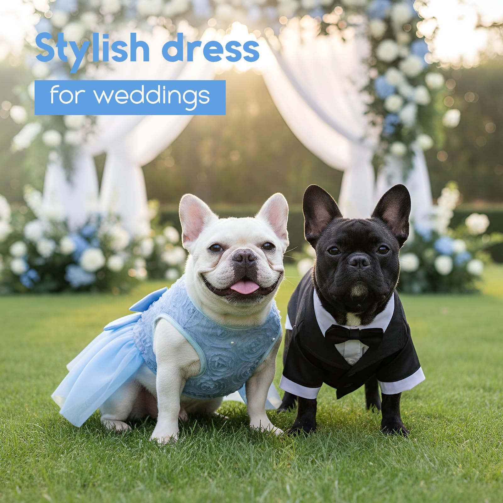 ASENKU dress-size-chart-measurement guides accurate fit for small and medium dogs.