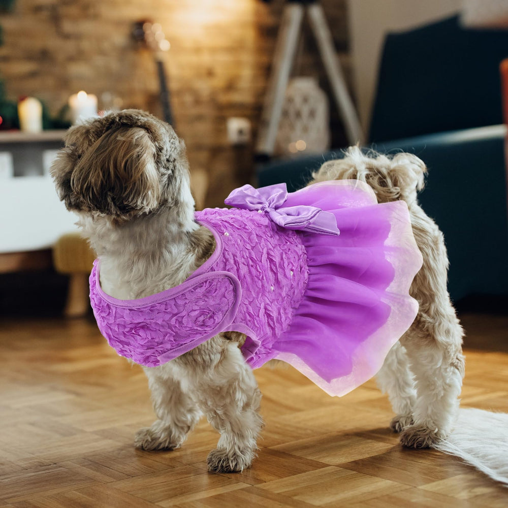 ASENKU purple dress suits small to medium dogs for celebrations