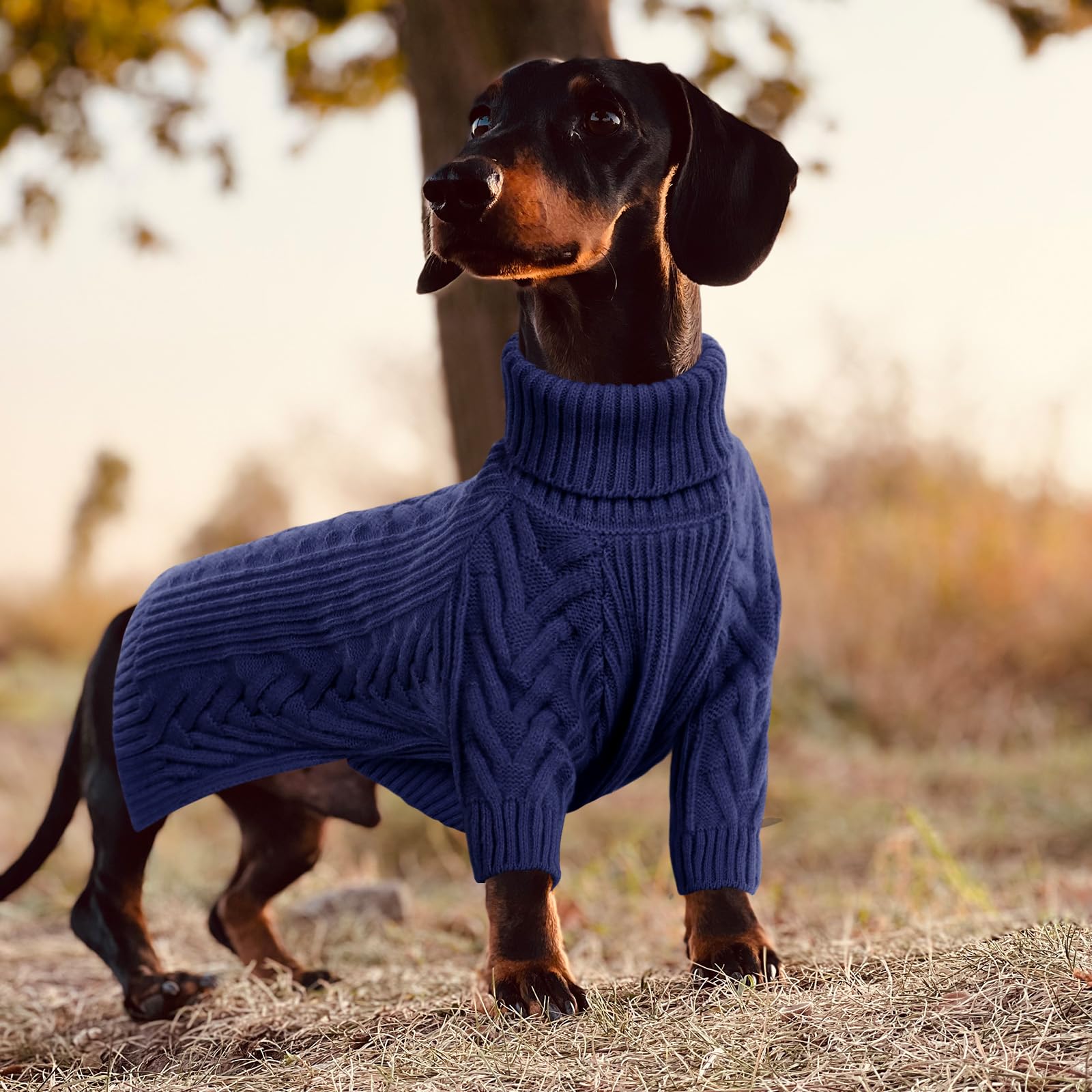ASENKU extra-large dog sweater cable-knit back design for refined style