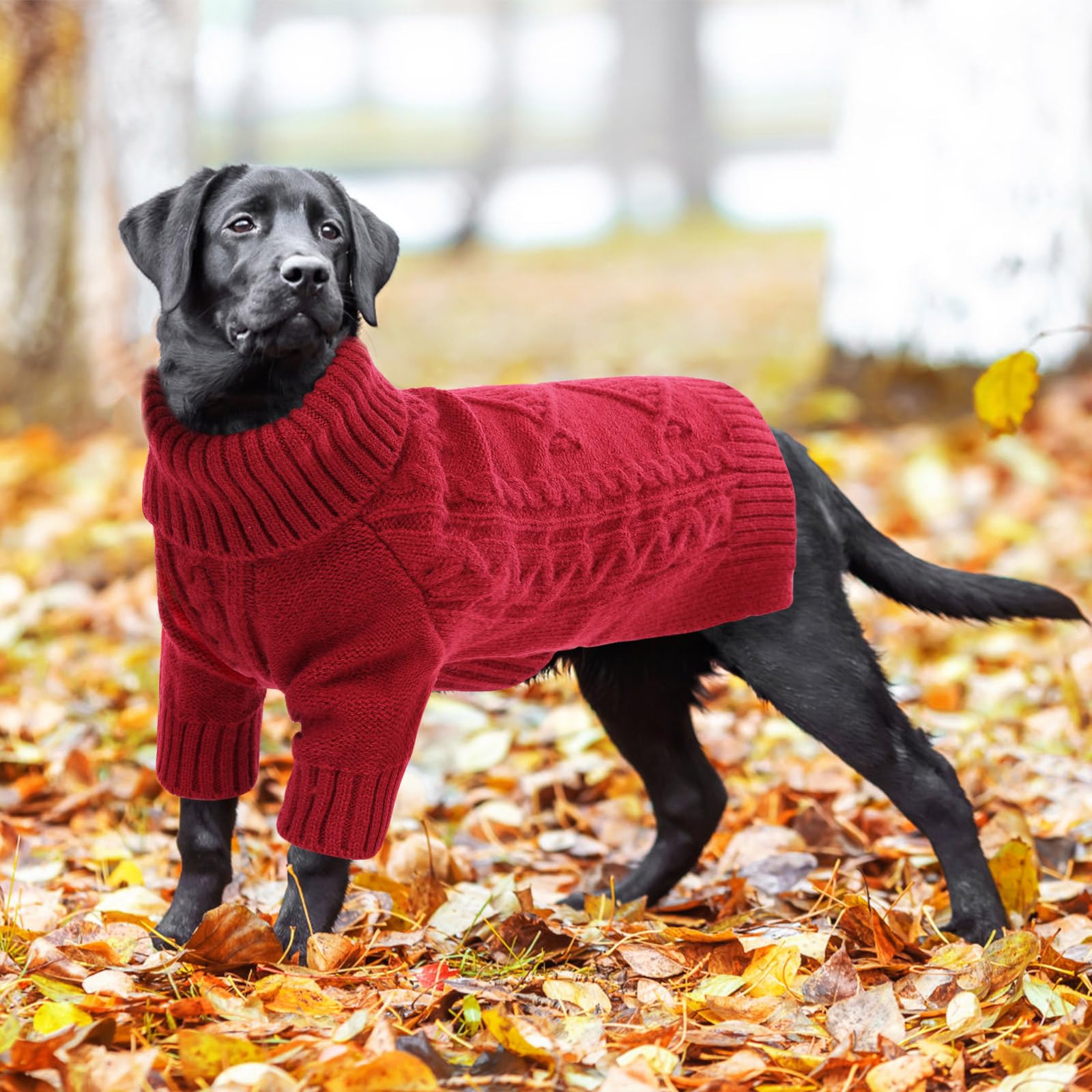 ASENKU knitted dog sweater care instructions image emphasizes machine-wash convenience.