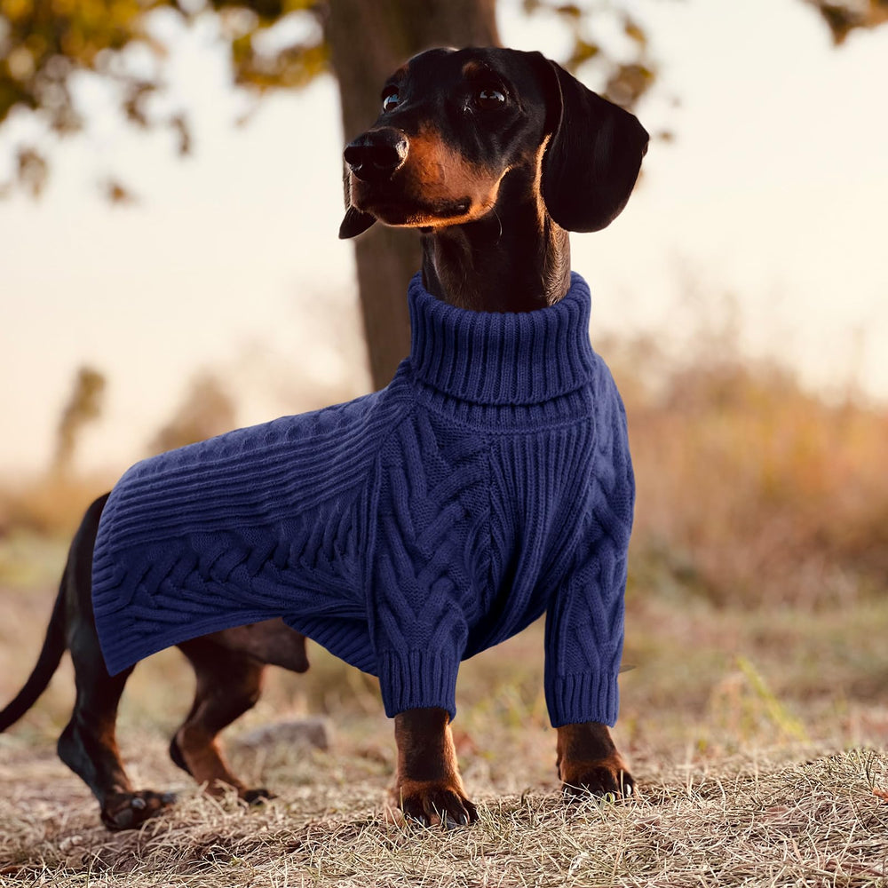 ASENKU royal blue turtleneck foldable-cuffs emphasizes full coverage and easy wearing.