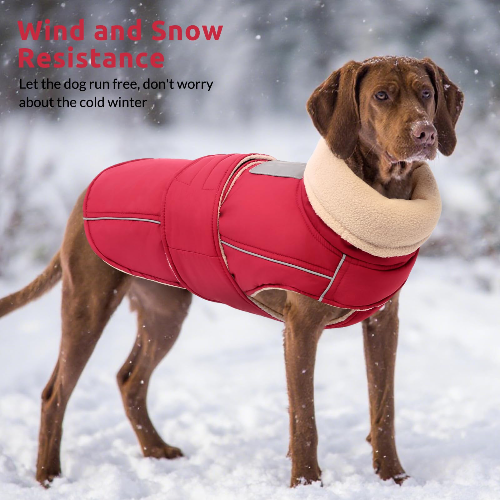 ASENKU warm dog coat high collar option for neck protection