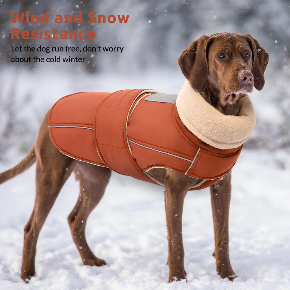 ASENKU Warm Dog Coat dog walking in snow with warmth