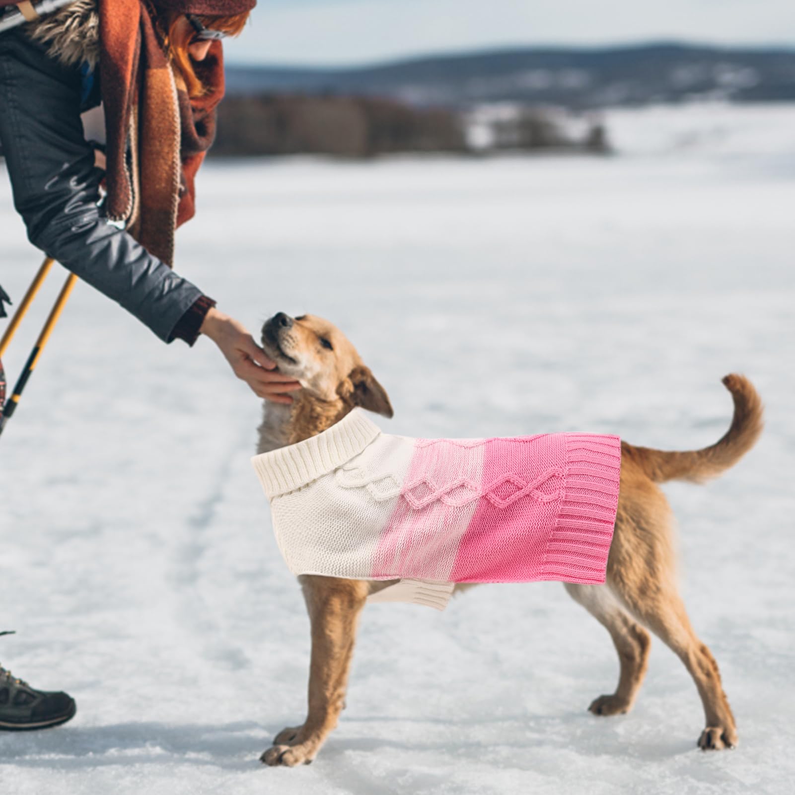 ASENKU warm dog sweater colors offers versatile styling and seasonal comfort