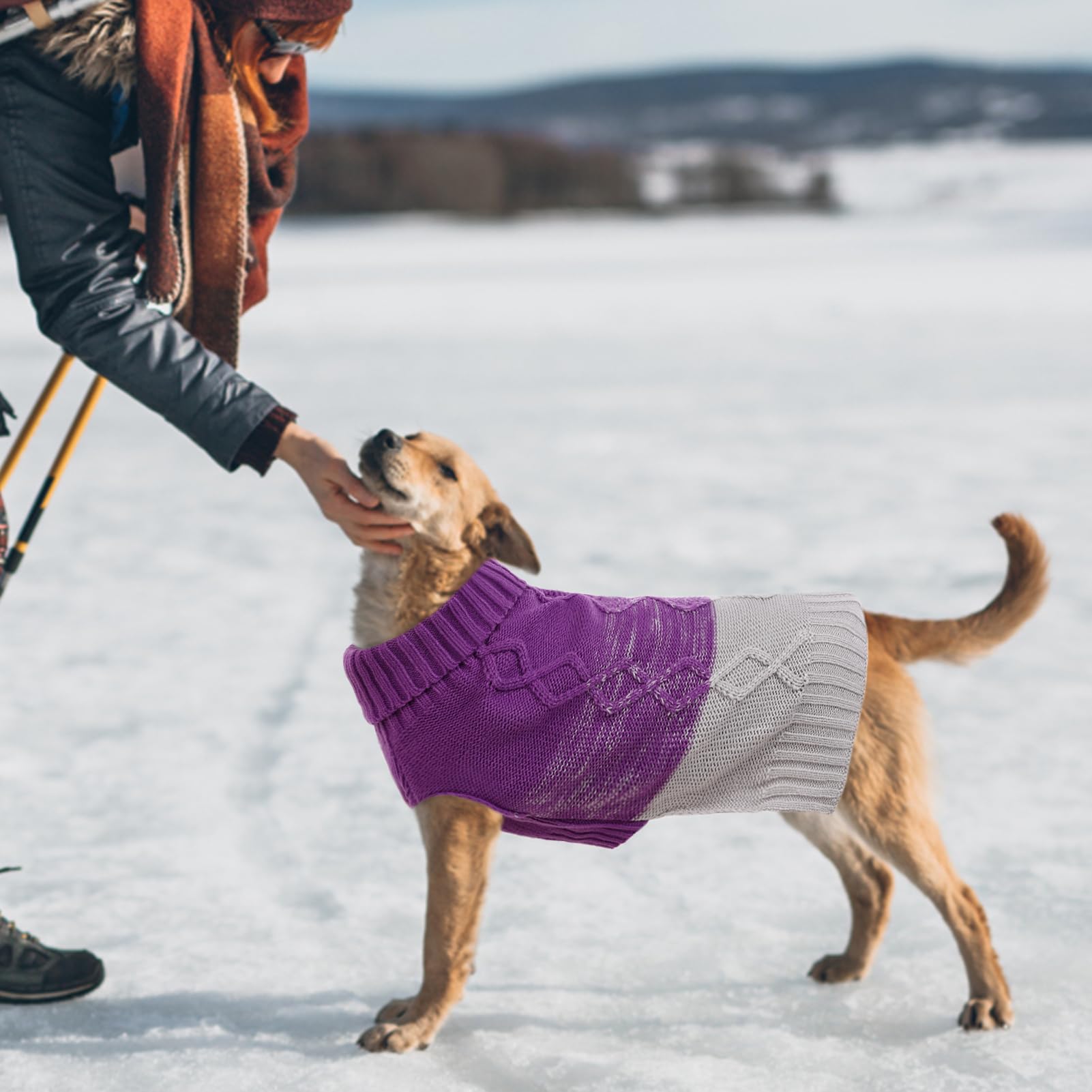 ASENKU warm dog sweater size chart confirms XS XL range for small to medium dogs.