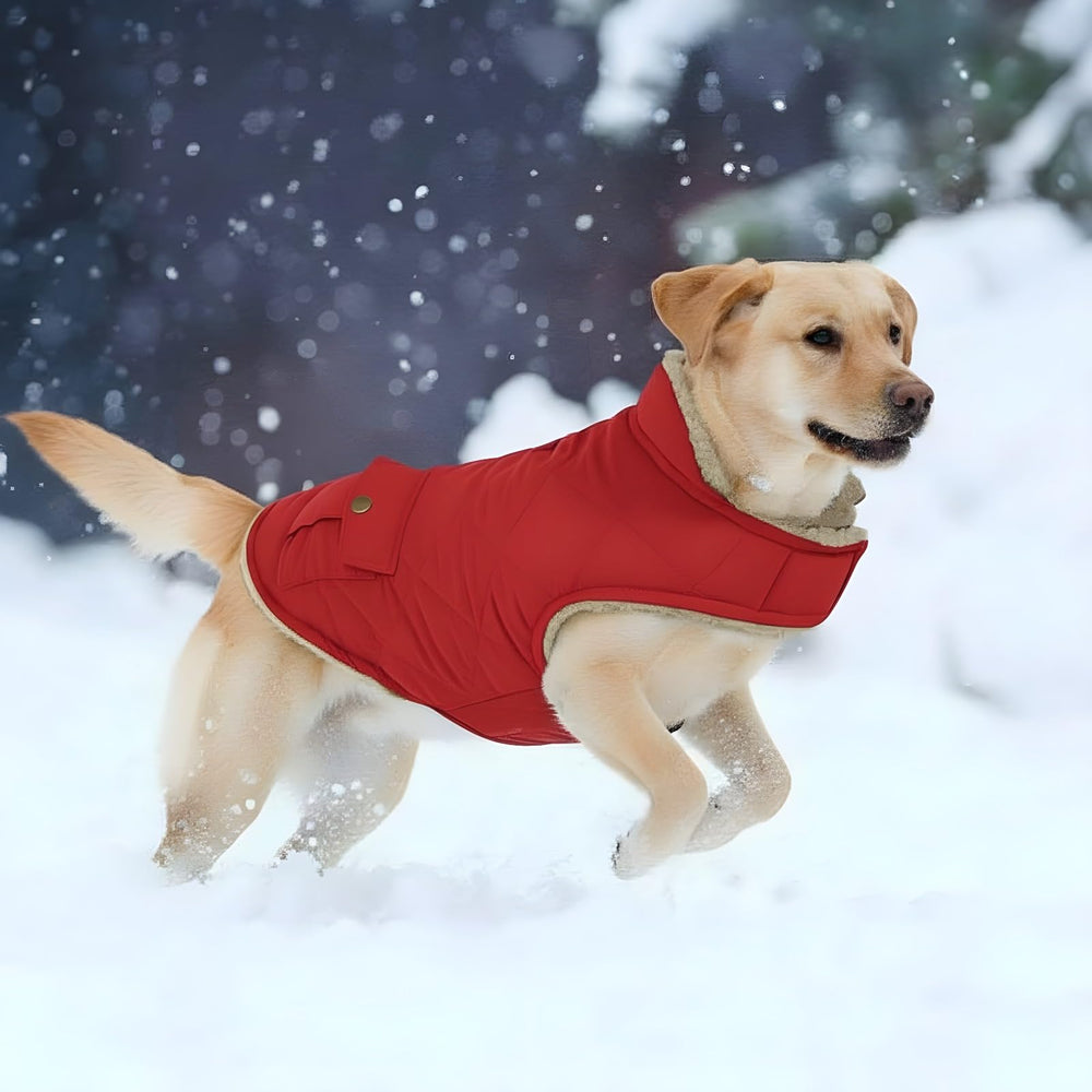 ASENKU warm dog winter coat red size medium fit demonstrates practical coverage.