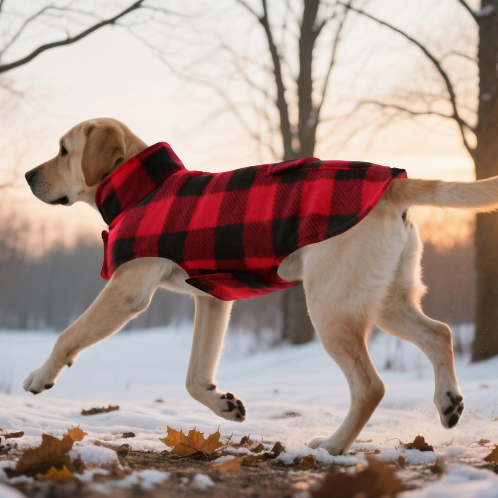 ASENKU waterproof fabric protects against snow and rain during outings.