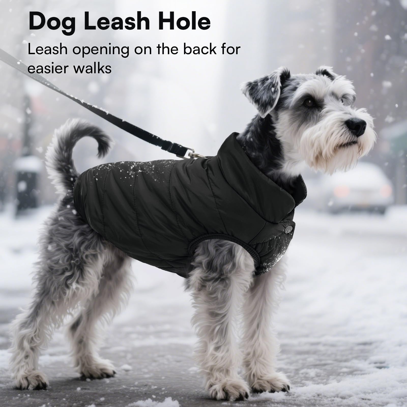 ASENKU windproof dog winter coat four snaps for quick on/off