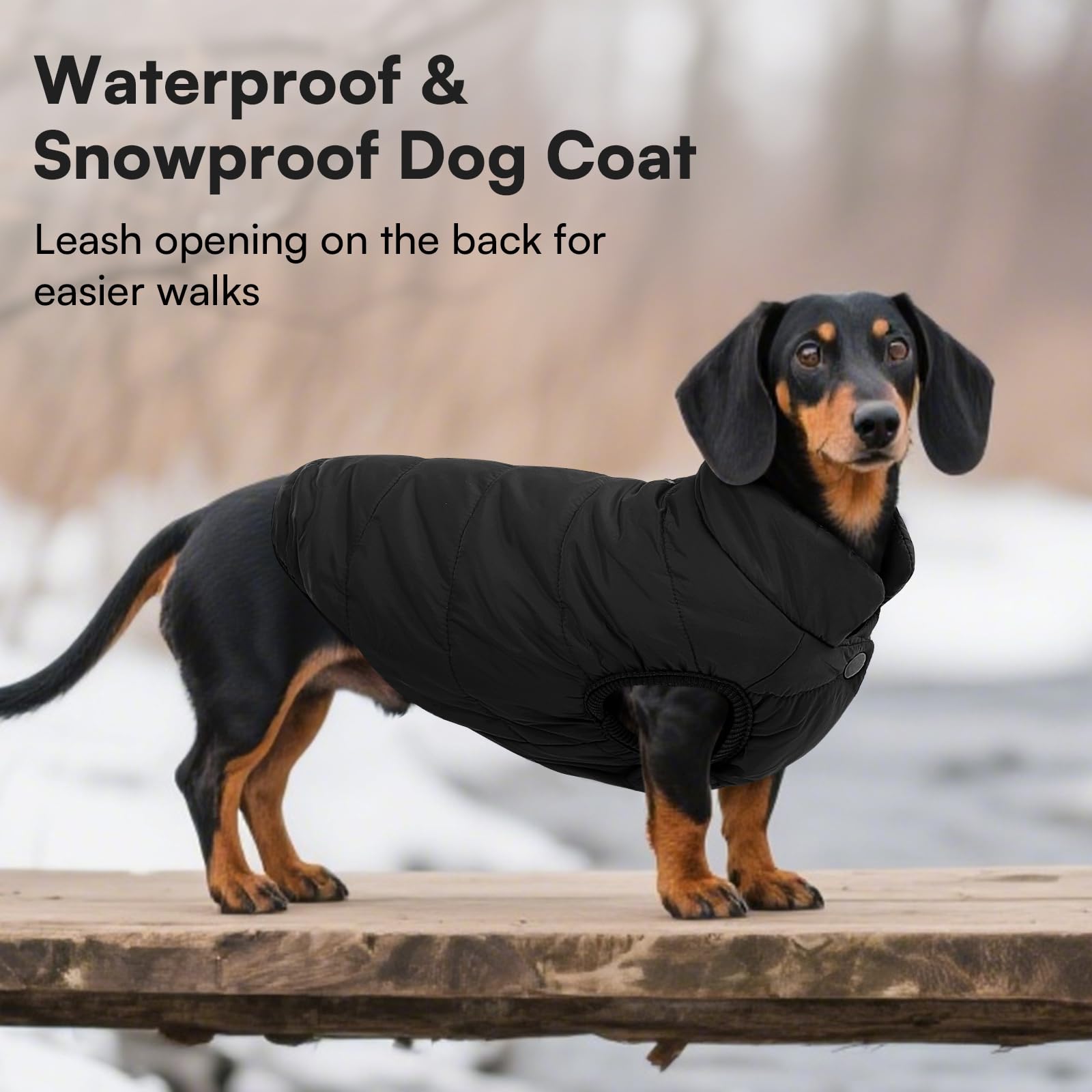 ASENKU windproof dog winter coat leash hole for easy walks