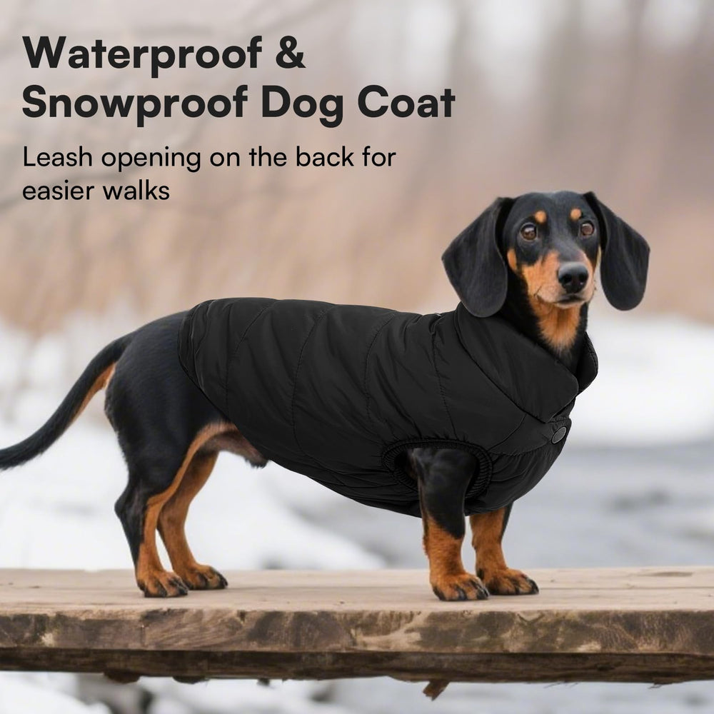 ASENKU windproof dog winter coat leash hole for easy walks