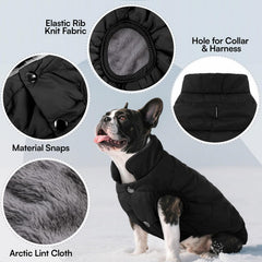 ASENKU windproof dog winter coat stand collar for added warmth during cold walks.