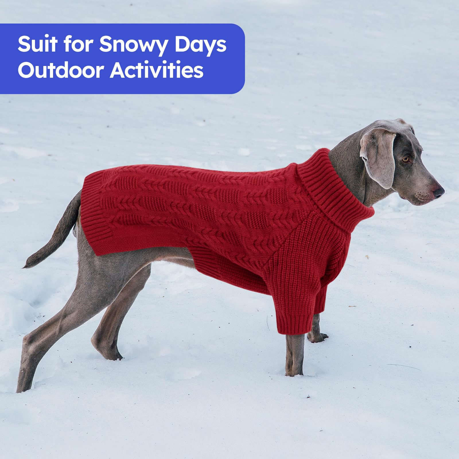 ASENKU XXXL dog sweater worn by a large dog in outdoor setting.