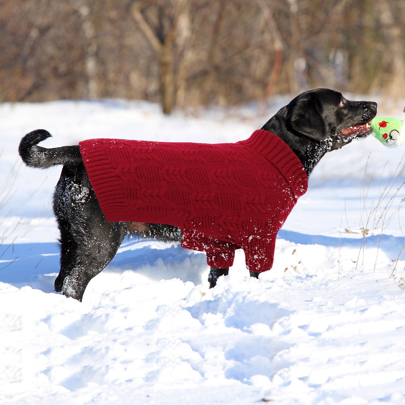 ASENKU XXXL dog sweater holiday-ready, perfect for festive photos.
